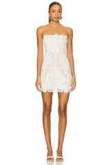 X Revolve Amanda Mini Dress