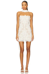 X Revolve Amanda Mini Dress