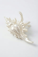 Ocean Shell Hair Claw